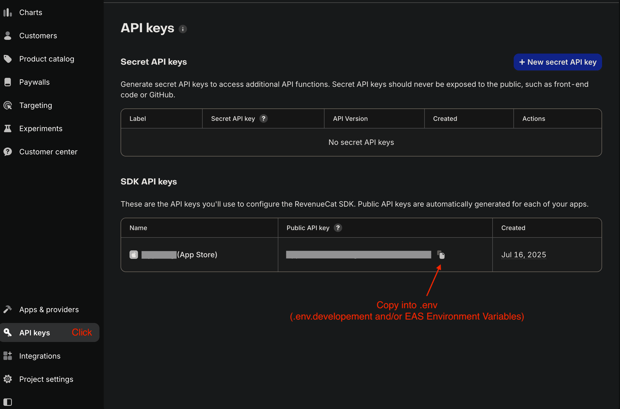 RevenueCat Public API Key Setup